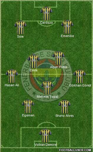 Fenerbahçe SK Formation 2013