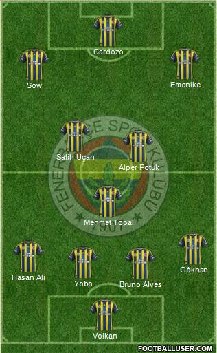 Fenerbahçe SK Formation 2013