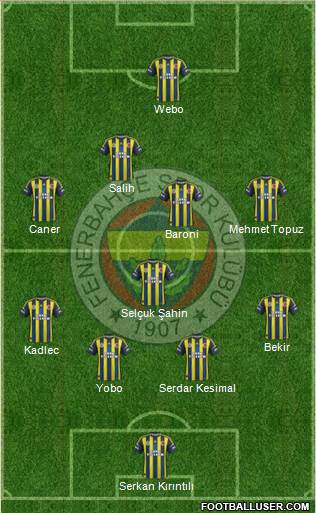 Fenerbahçe SK Formation 2013