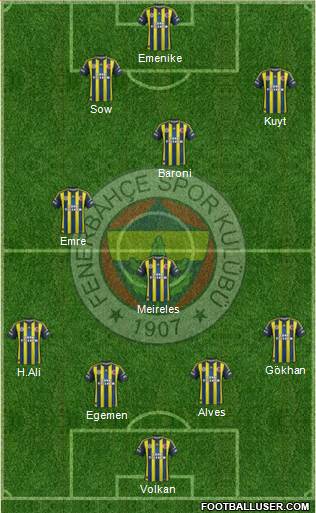 Fenerbahçe SK Formation 2013