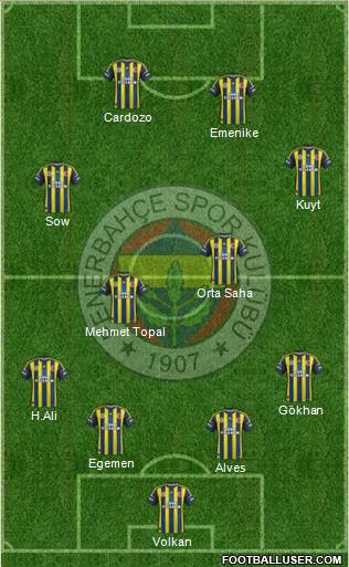 Fenerbahçe SK Formation 2013
