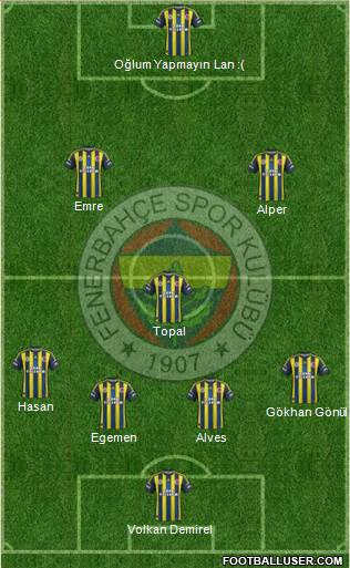 Fenerbahçe SK Formation 2013