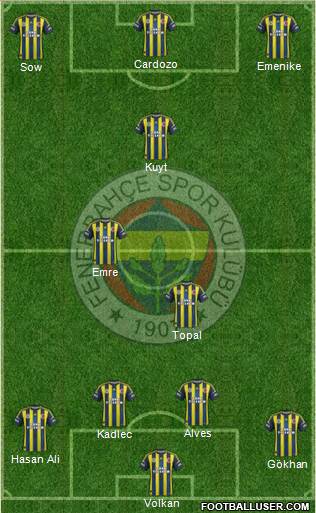Fenerbahçe SK Formation 2013