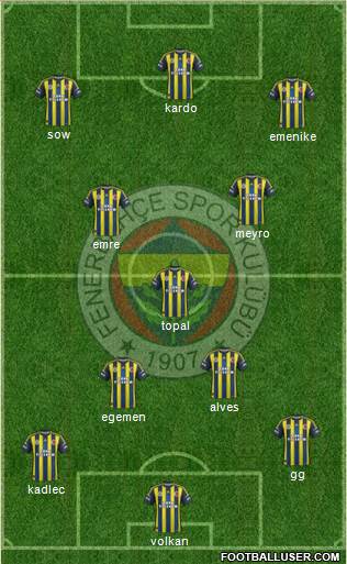 Fenerbahçe SK Formation 2013