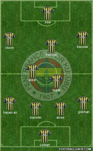 Fenerbahçe SK Formation 2013