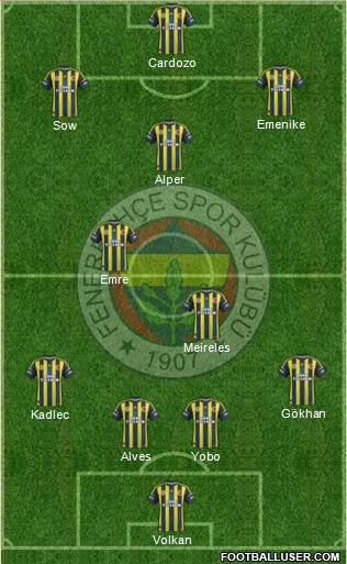 Fenerbahçe SK Formation 2013