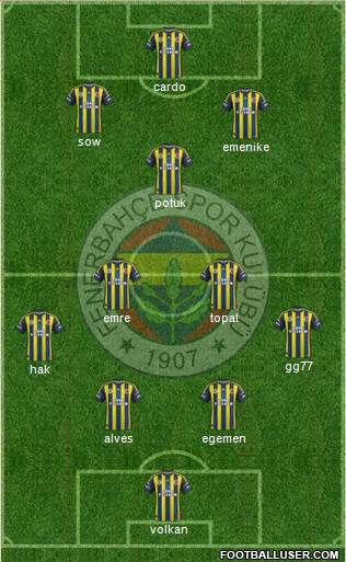 Fenerbahçe SK Formation 2013