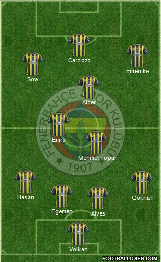 Fenerbahçe SK Formation 2013