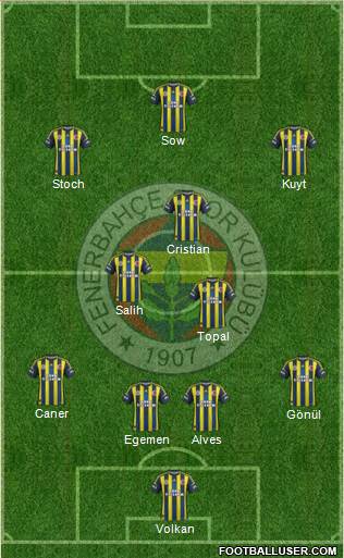 Fenerbahçe SK Formation 2013