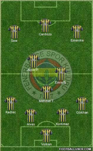 Fenerbahçe SK Formation 2013