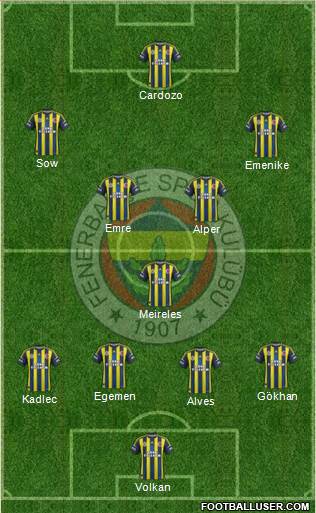 Fenerbahçe SK Formation 2013