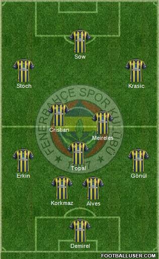 Fenerbahçe SK Formation 2013