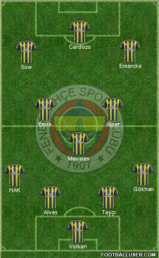 Fenerbahçe SK Formation 2013