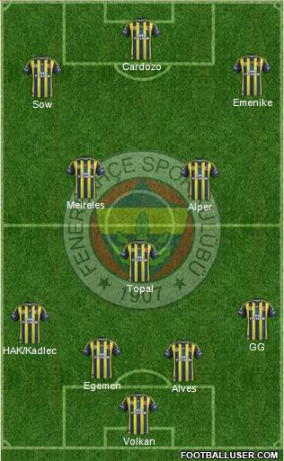 Fenerbahçe SK Formation 2013