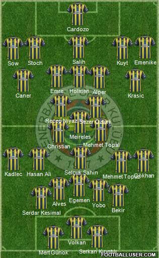 Fenerbahçe SK Formation 2013