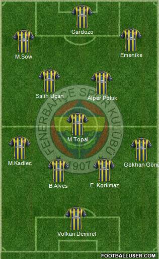 Fenerbahçe SK Formation 2013
