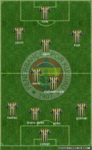 Fenerbahçe SK Formation 2013