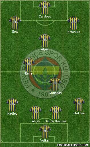 Fenerbahçe SK Formation 2013