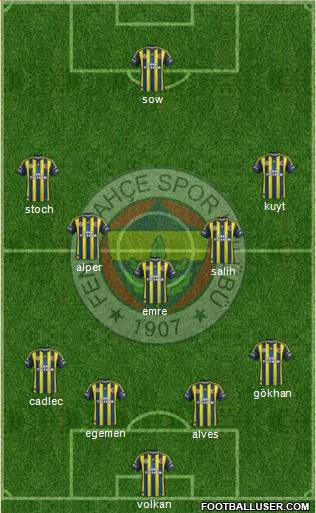 Fenerbahçe SK Formation 2013
