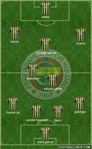 Fenerbahçe SK Formation 2013