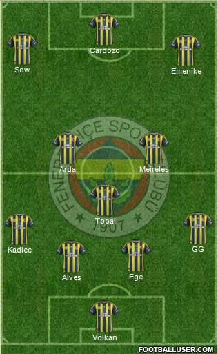 Fenerbahçe SK Formation 2013