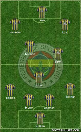 Fenerbahçe SK Formation 2013