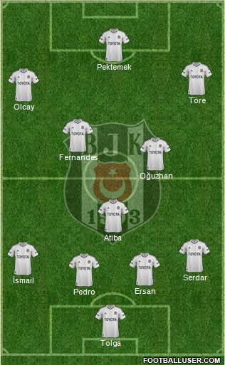 Besiktas JK Formation 2013