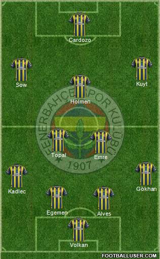 Fenerbahçe SK Formation 2013