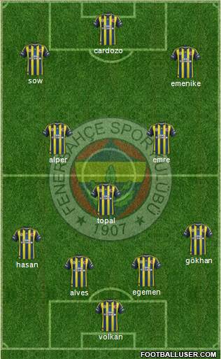 Fenerbahçe SK Formation 2013