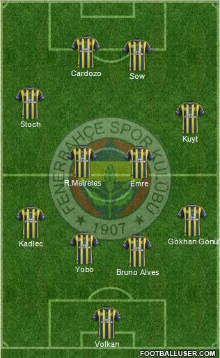 Fenerbahçe SK Formation 2013