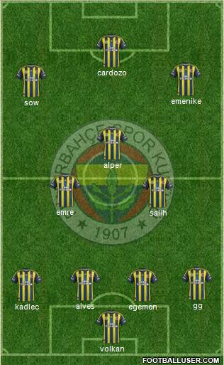 Fenerbahçe SK Formation 2013