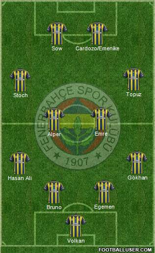 Fenerbahçe SK Formation 2013