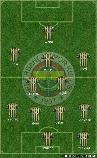 Fenerbahçe SK Formation 2013