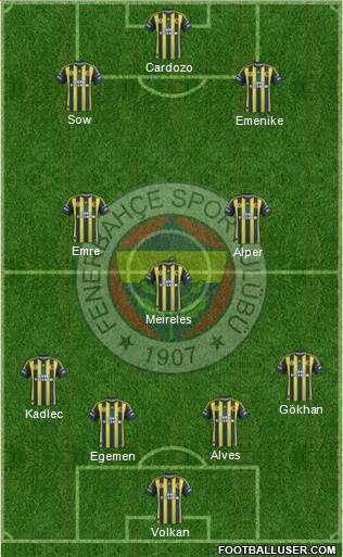 Fenerbahçe SK Formation 2013