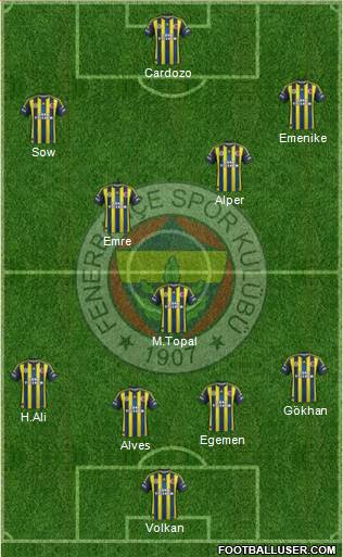 Fenerbahçe SK Formation 2013