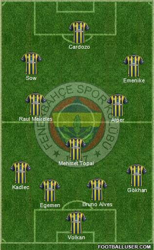 Fenerbahçe SK Formation 2013