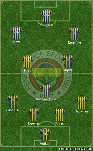 Fenerbahçe SK Formation 2013