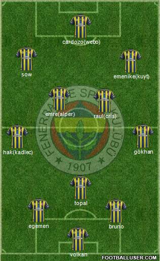 Fenerbahçe SK Formation 2013