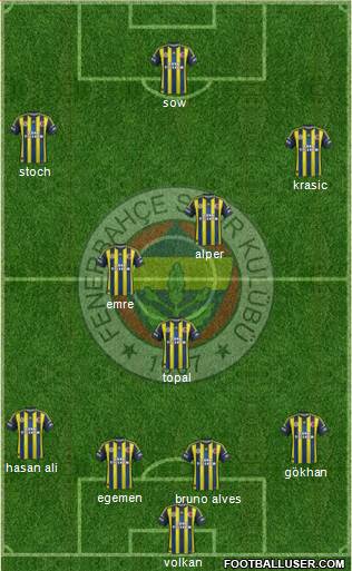 Fenerbahçe SK Formation 2013