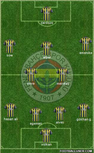 Fenerbahçe SK Formation 2013