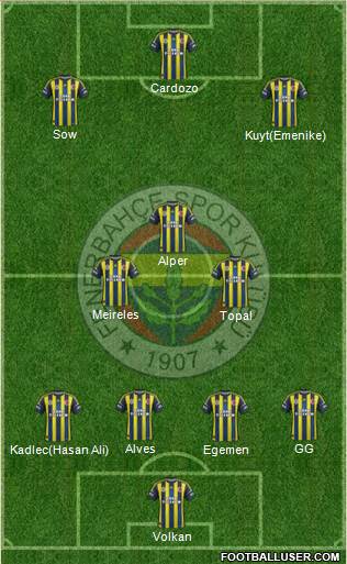 Fenerbahçe SK Formation 2013