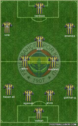 Fenerbahçe SK Formation 2013
