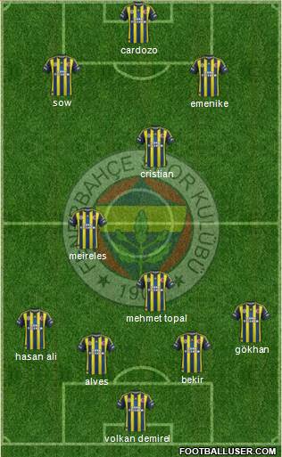 Fenerbahçe SK Formation 2013