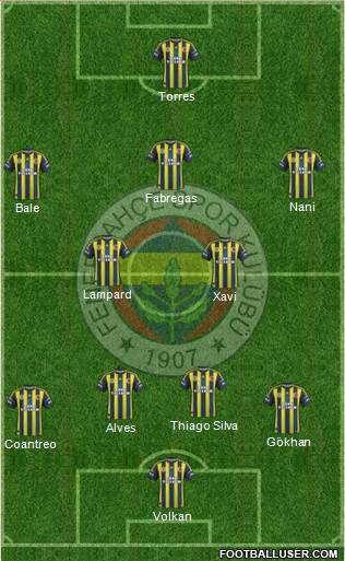 Fenerbahçe SK Formation 2013
