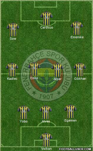 Fenerbahçe SK Formation 2013