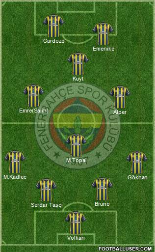 Fenerbahçe SK Formation 2013