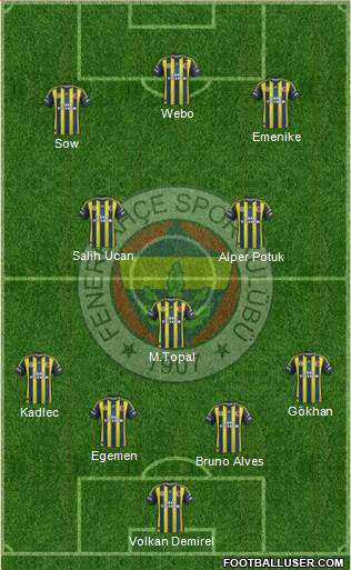 Fenerbahçe SK Formation 2013
