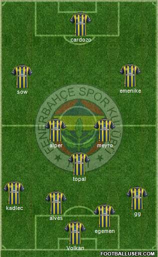 Fenerbahçe SK Formation 2013