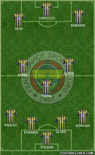 Fenerbahçe SK Formation 2013