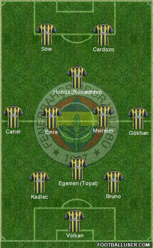 Fenerbahçe SK Formation 2013